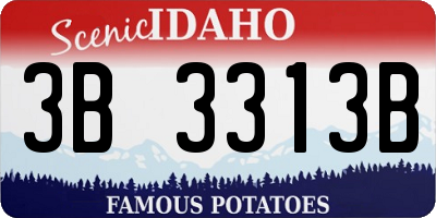 ID license plate 3B3313B
