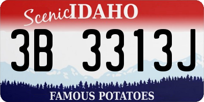 ID license plate 3B3313J
