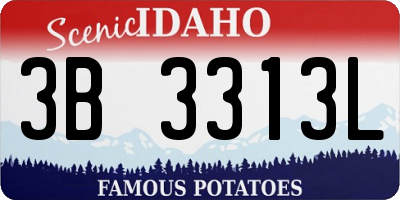 ID license plate 3B3313L