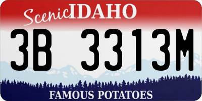 ID license plate 3B3313M