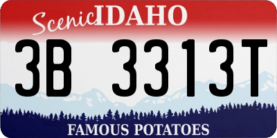 ID license plate 3B3313T