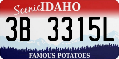 ID license plate 3B3315L
