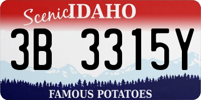 ID license plate 3B3315Y