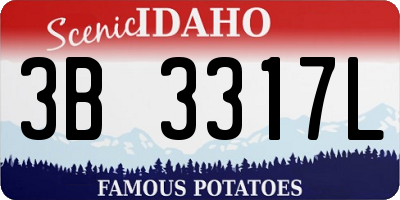 ID license plate 3B3317L