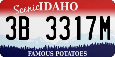 ID license plate 3B3317M