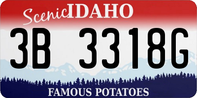 ID license plate 3B3318G