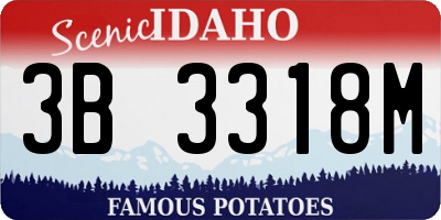 ID license plate 3B3318M