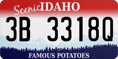 ID license plate 3B3318Q