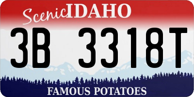 ID license plate 3B3318T