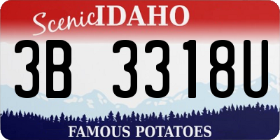 ID license plate 3B3318U