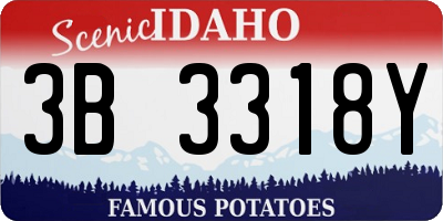 ID license plate 3B3318Y