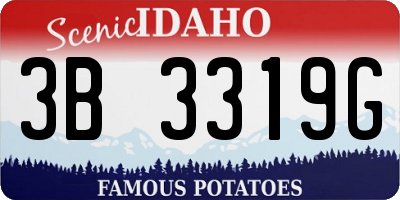 ID license plate 3B3319G