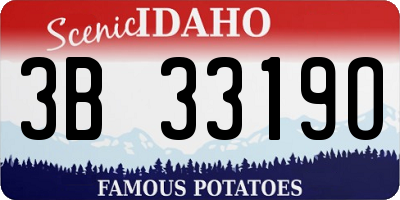 ID license plate 3B3319O