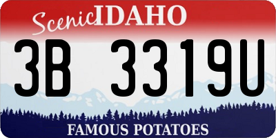 ID license plate 3B3319U