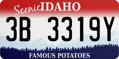 ID license plate 3B3319Y