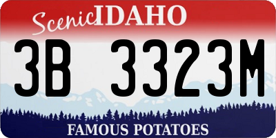 ID license plate 3B3323M