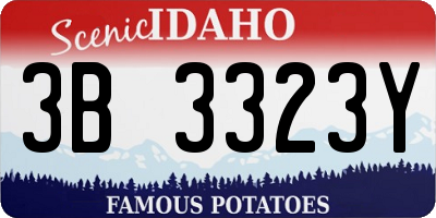 ID license plate 3B3323Y