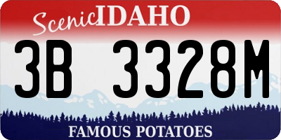 ID license plate 3B3328M