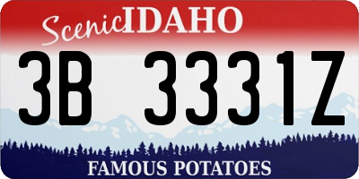 ID license plate 3B3331Z