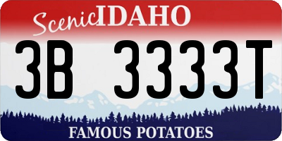 ID license plate 3B3333T