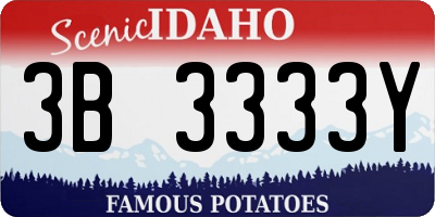 ID license plate 3B3333Y