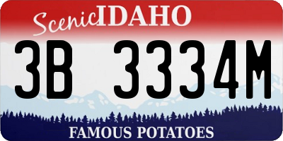 ID license plate 3B3334M