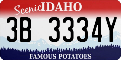 ID license plate 3B3334Y
