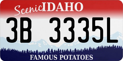 ID license plate 3B3335L