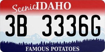 ID license plate 3B3336G