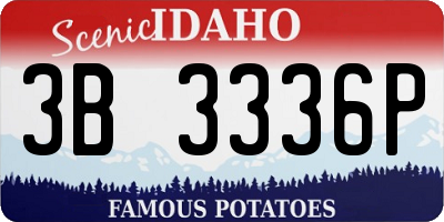 ID license plate 3B3336P