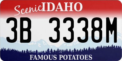 ID license plate 3B3338M