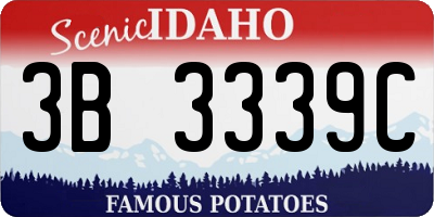 ID license plate 3B3339C