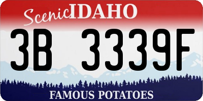 ID license plate 3B3339F
