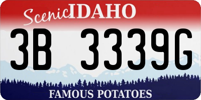 ID license plate 3B3339G