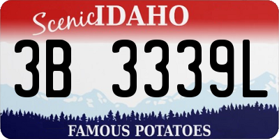 ID license plate 3B3339L