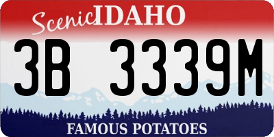 ID license plate 3B3339M