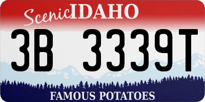 ID license plate 3B3339T