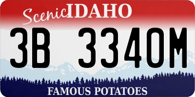 ID license plate 3B3340M