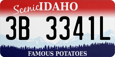 ID license plate 3B3341L