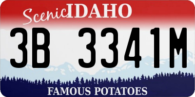 ID license plate 3B3341M