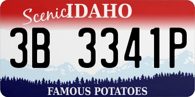 ID license plate 3B3341P