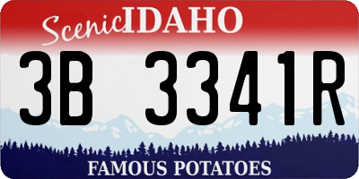 ID license plate 3B3341R
