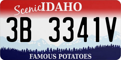 ID license plate 3B3341V