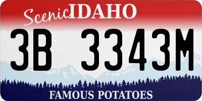ID license plate 3B3343M