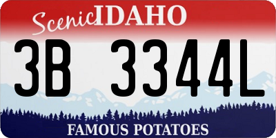 ID license plate 3B3344L