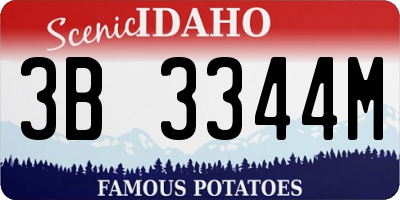 ID license plate 3B3344M