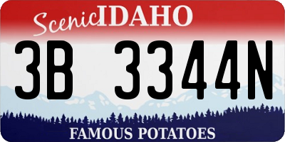 ID license plate 3B3344N