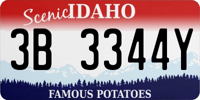 ID license plate 3B3344Y