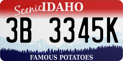 ID license plate 3B3345K