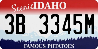 ID license plate 3B3345M
